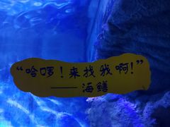 -厦门海底世界