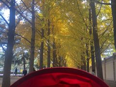 -钓鱼台国宾馆