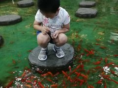 -上海大自然野生昆虫馆(东方明珠·爬宠昆虫探索中心)