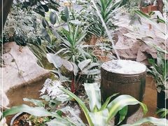 -滕头生态酒店(奉化店)