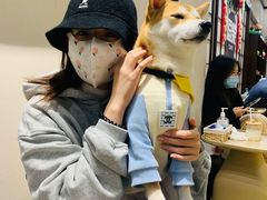 -逗柴咖啡屋·狗咖猫咖宠物桌游