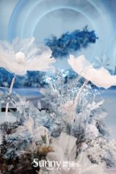 -Sunny喜铺婚礼策划(东部店)