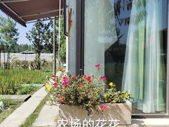 -洪湖家庭农场·团建·露营·会议