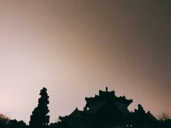 -武汉大学-樱园