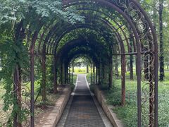 -国家植物园南园