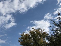 -河北医科大学第一医院-停车场