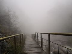 -青峰峡国家森林公园