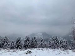 -瓦屋山景区
