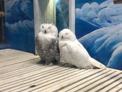 -成都浩海立方海洋公园