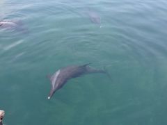 iphone_upload_pic-亚龙湾海底世界