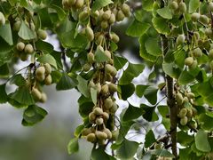 -Club Med地中海俱乐部·桂林度假村