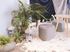-风甜日暖·星座主题甜点(东二环泰禾店)