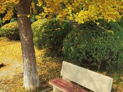 -石家庄市植物园