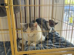 -青春加萌照相馆