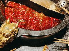 -蜀大侠火锅(总府路店)