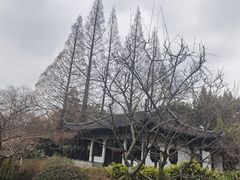 -红梅公园