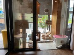 -哆趣宠物医院·眼科·内镜·急重症转诊中心(上海店)