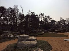 iphone_upload_pic-中国唐苑