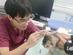 -宠福鑫康馨动物医院·骨科·眼科