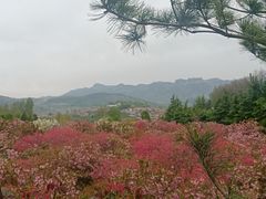 -开元溶洞