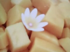 -维尔纳斯·生日蛋糕·动物奶油冰淇淋蛋糕(六里桥店)