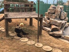 -西霞口神雕山野生动物世界