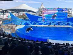 -上海海昌海洋公园