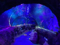 -沈阳海洋探索中心