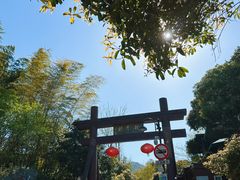 -十八棵（老龙井）御茶园(老龙井店)