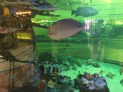 -尚泰清迈机场购物中心