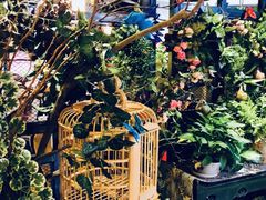 -舌尖上的食缘花园主题餐厅