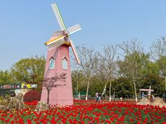 -祥源·阜阳生态乐园