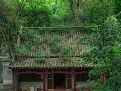 -点都德(广州白云山景区南门店)