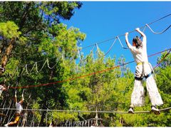 -梦幻奥陶纪景区