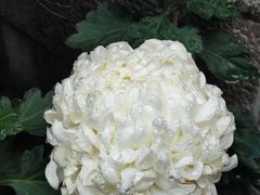 -虞山城墙