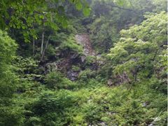 -凤凰山国家森林公园