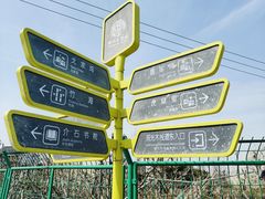 -树山生态村