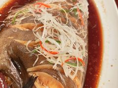 红烧鲽鱼-登瀛楼(鼓楼店)