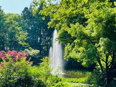 -上海共青森林公园