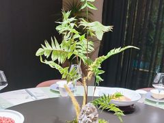 -梁溪河畔·吉府花园(南长街南下塘店)