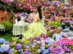 -HERRE·FARM 赫尔露营农场·团建聚会包场