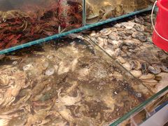 -港畔赶海蒸汽海鲜烧烤自助(仙螺岛店)