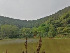 -楠柏弯休闲山庄(梨花溪店)