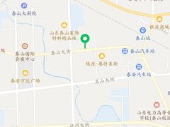 -赵记煎饼卷大葱(泰山大街店)