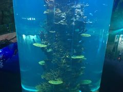 -青岛嘉年华主题乐园