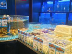 -望海臻鲜·海鲜餐厅