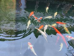 -南浔古镇