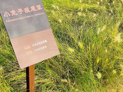 -汉长安城未央宫国家考古遗址公园