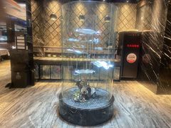 -红辣椒·川菜·火锅(曹杨店)