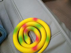 -肯德基(渔阳店)